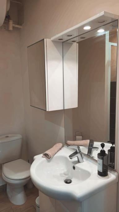 Beautiful F2 Apartment 5 Stops By Train From Paris โมเรต์-ซูร์-ลวง ภายนอก รูปภาพ