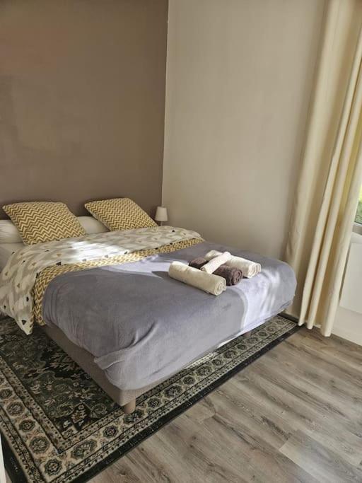 Beautiful F2 Apartment 5 Stops By Train From Paris โมเรต์-ซูร์-ลวง ภายนอก รูปภาพ