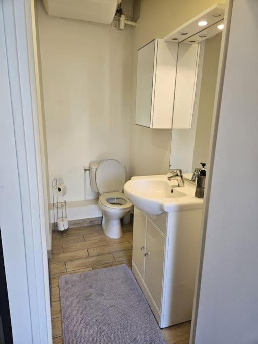 Beautiful F2 Apartment 5 Stops By Train From Paris โมเรต์-ซูร์-ลวง ภายนอก รูปภาพ